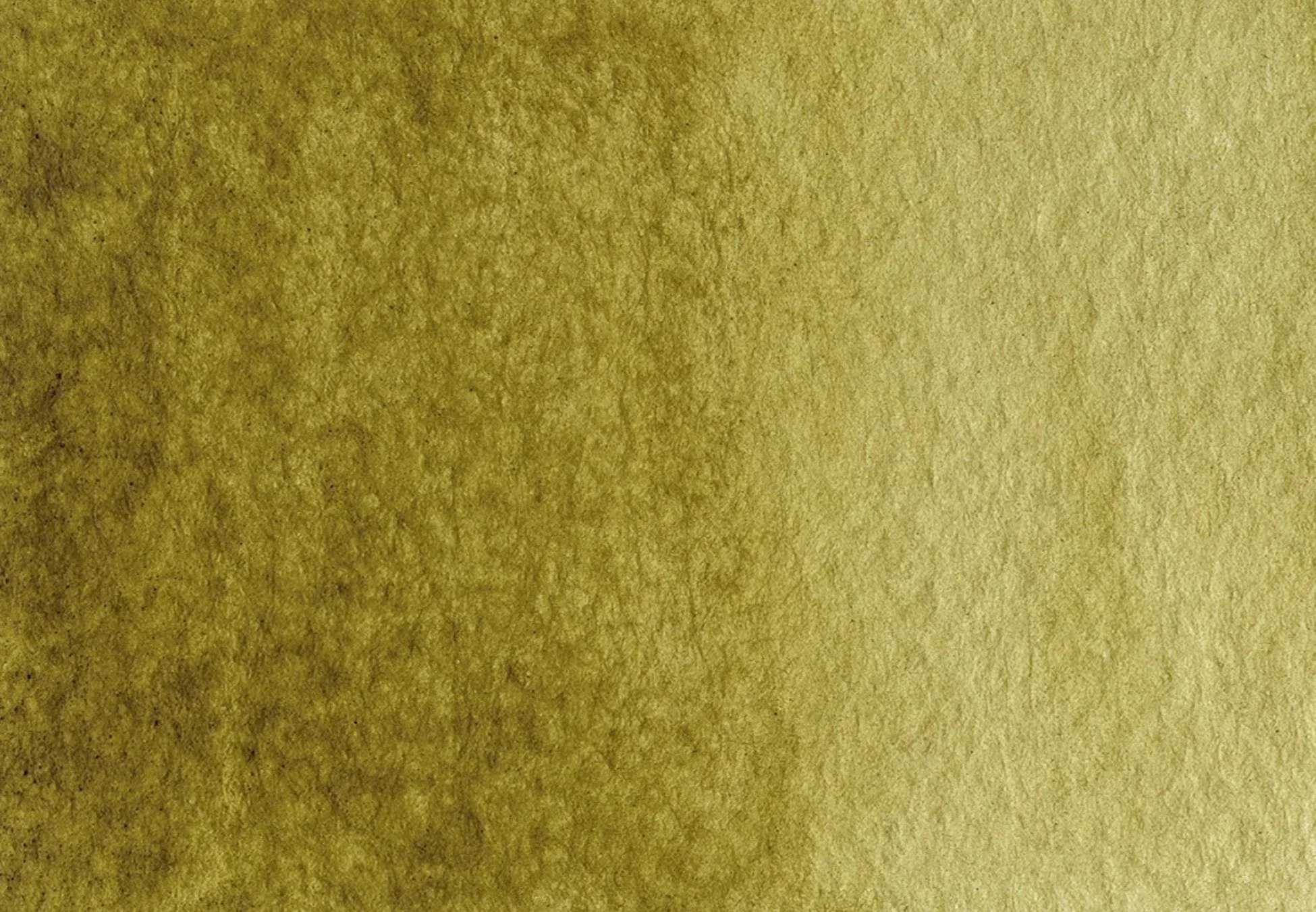 Buckthorn berry green - half pan - Image 2