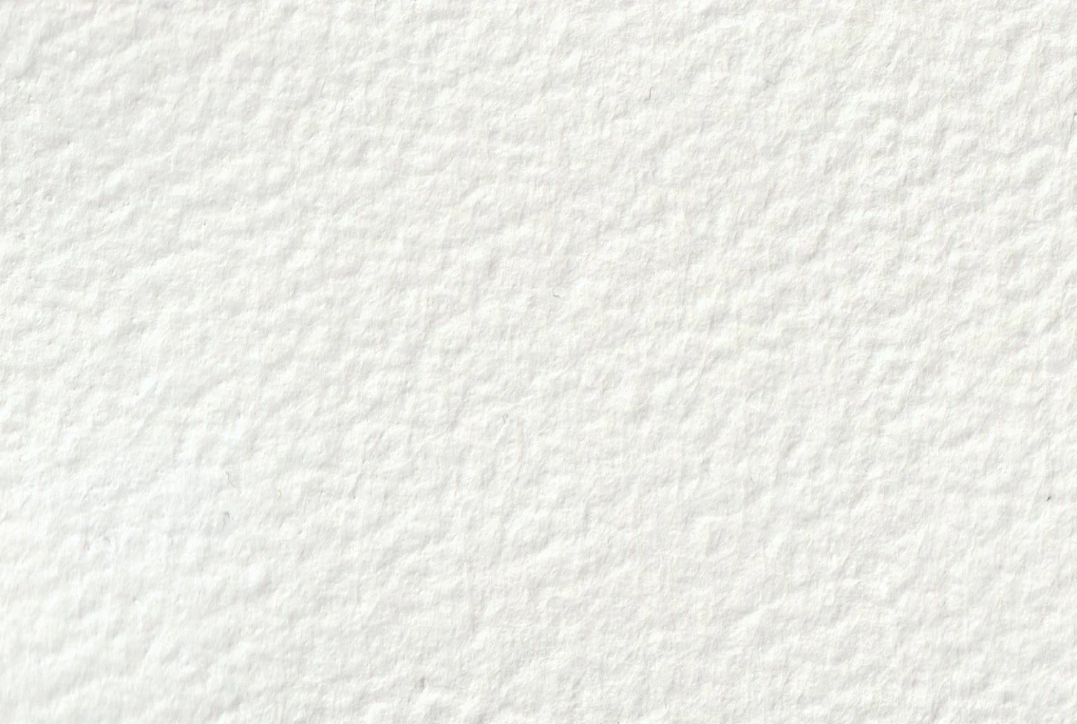 Chinese white - Half pan - Image 2
