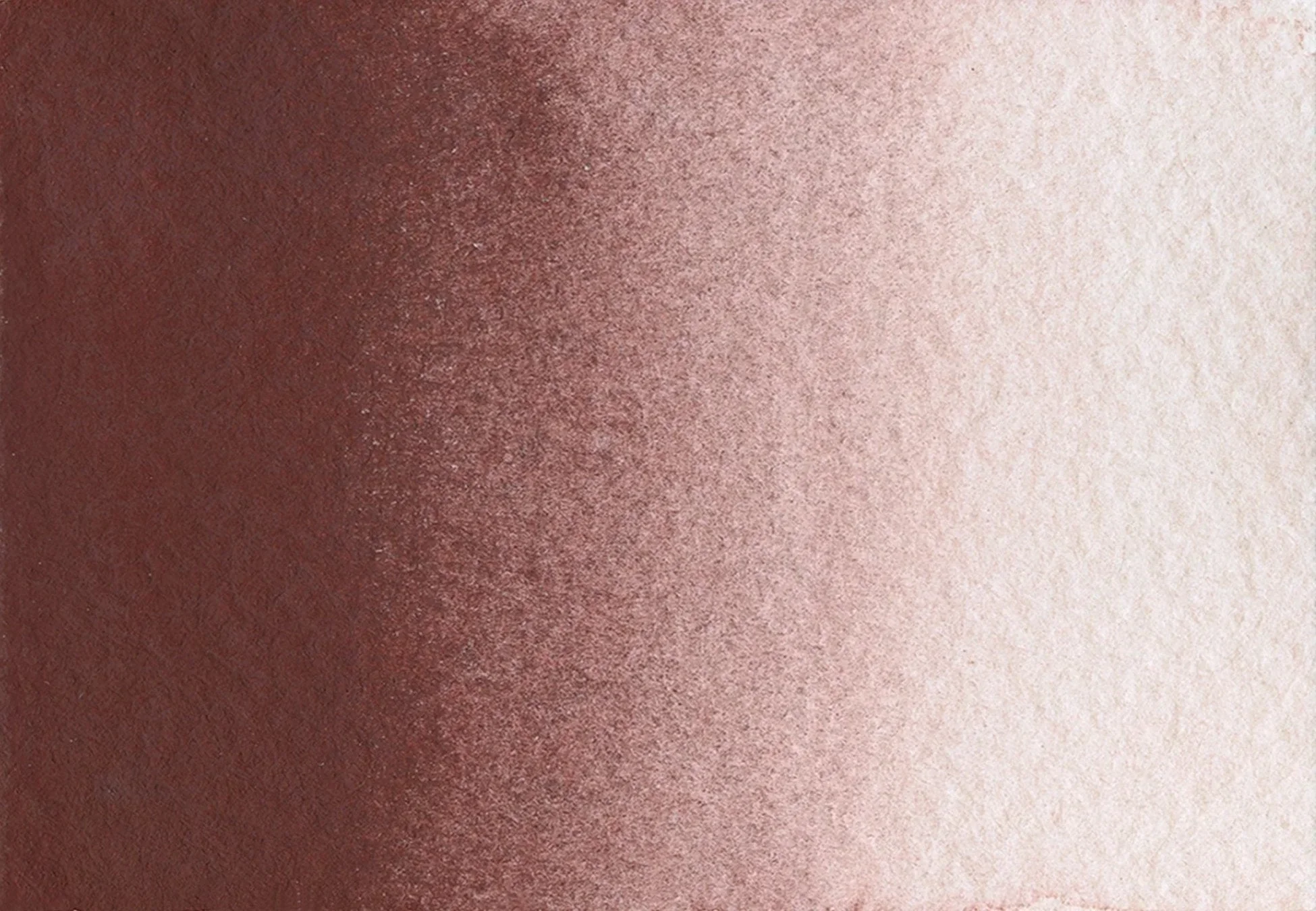 Morellone - Image 2