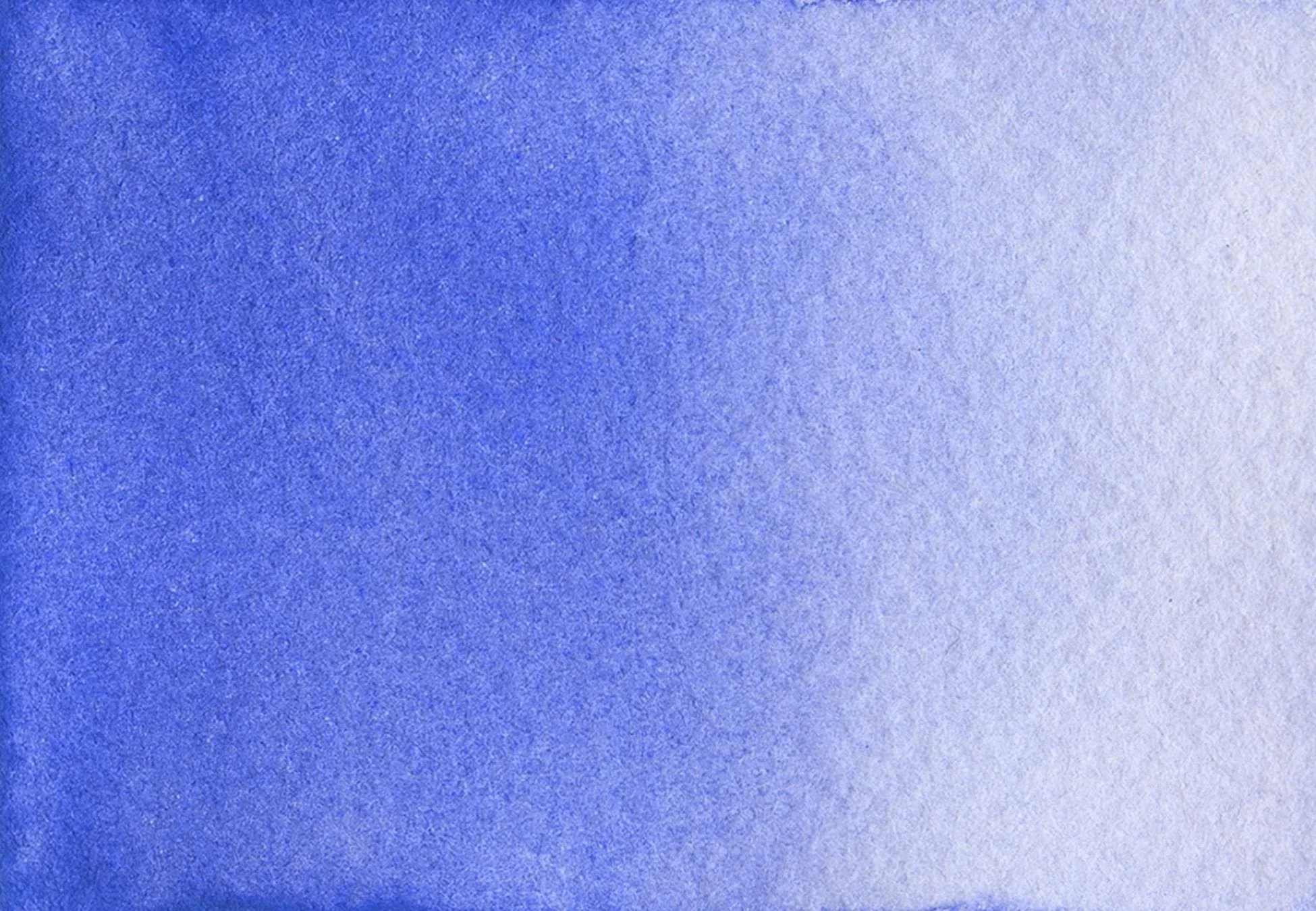 Periwinkle - Image 2