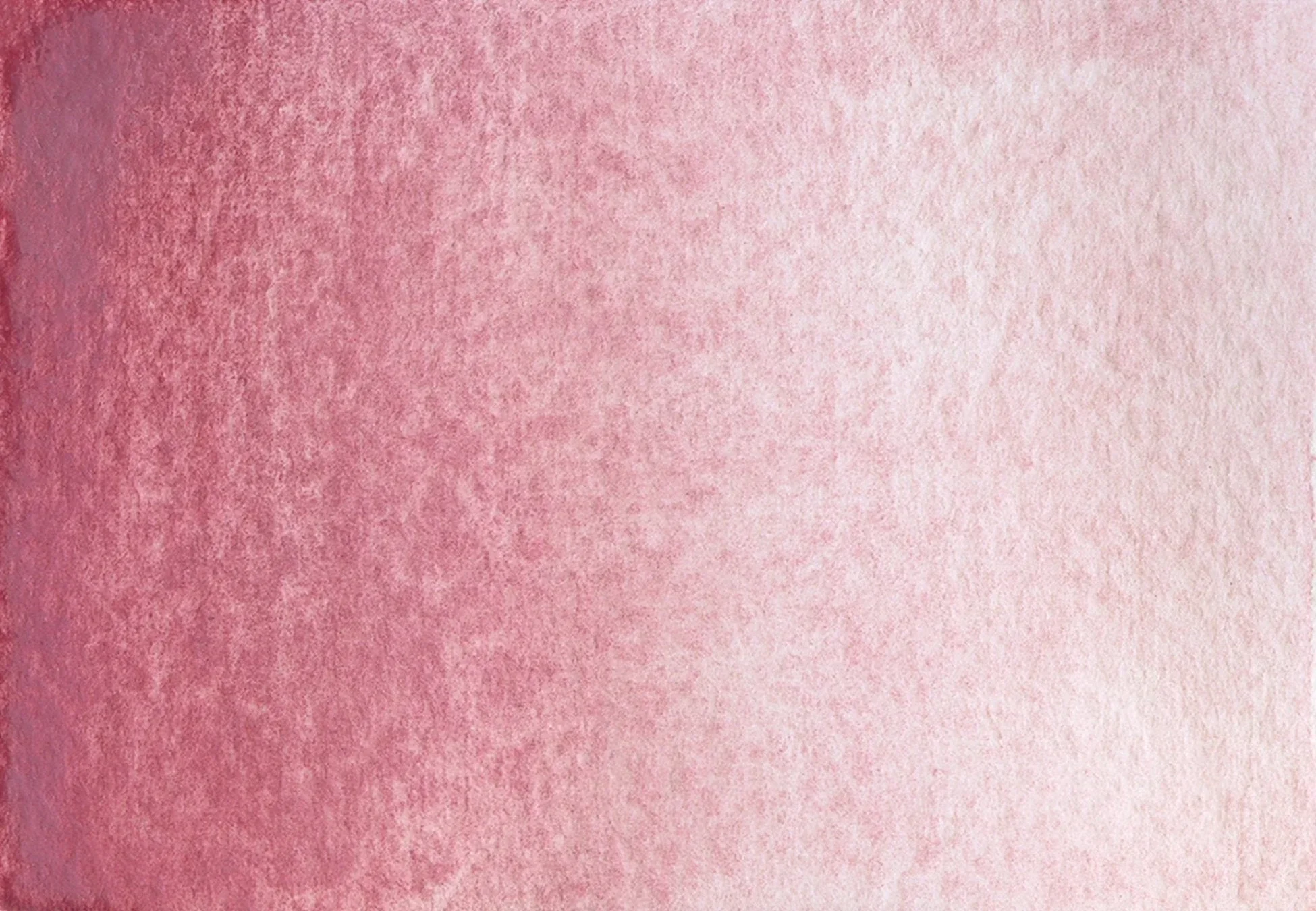 Potter's Pink - Image 2