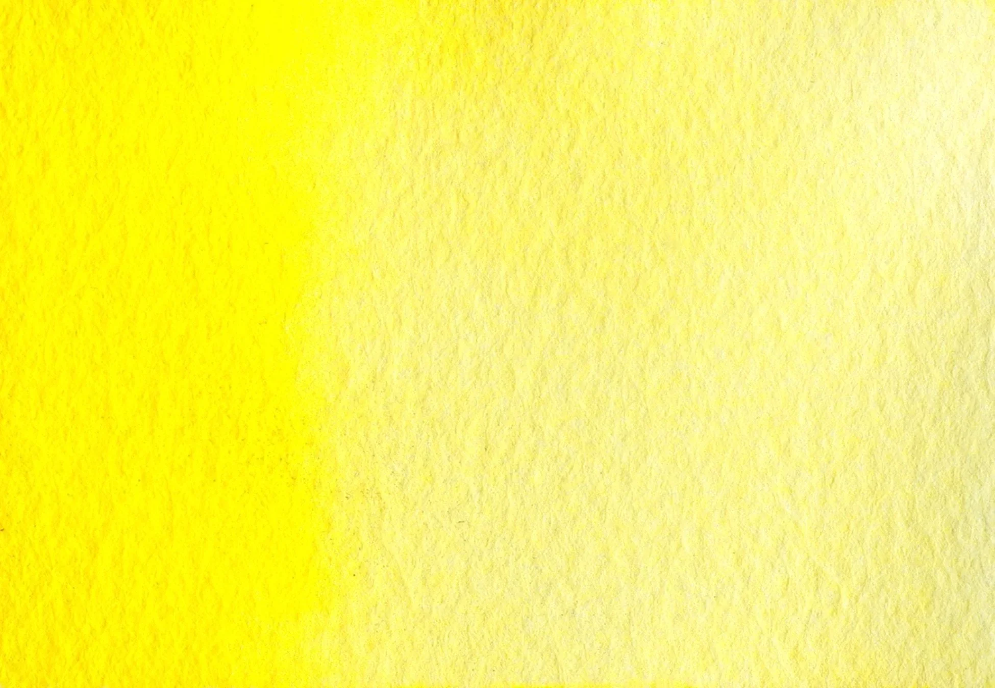 Royal yellow - Image 2