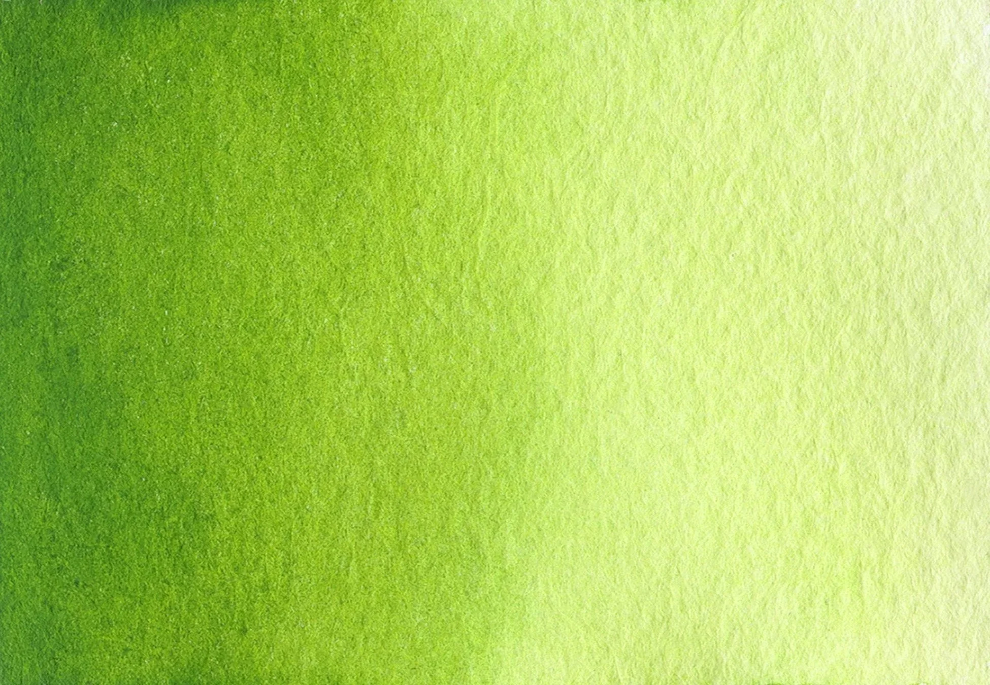 Sap green - Image 2