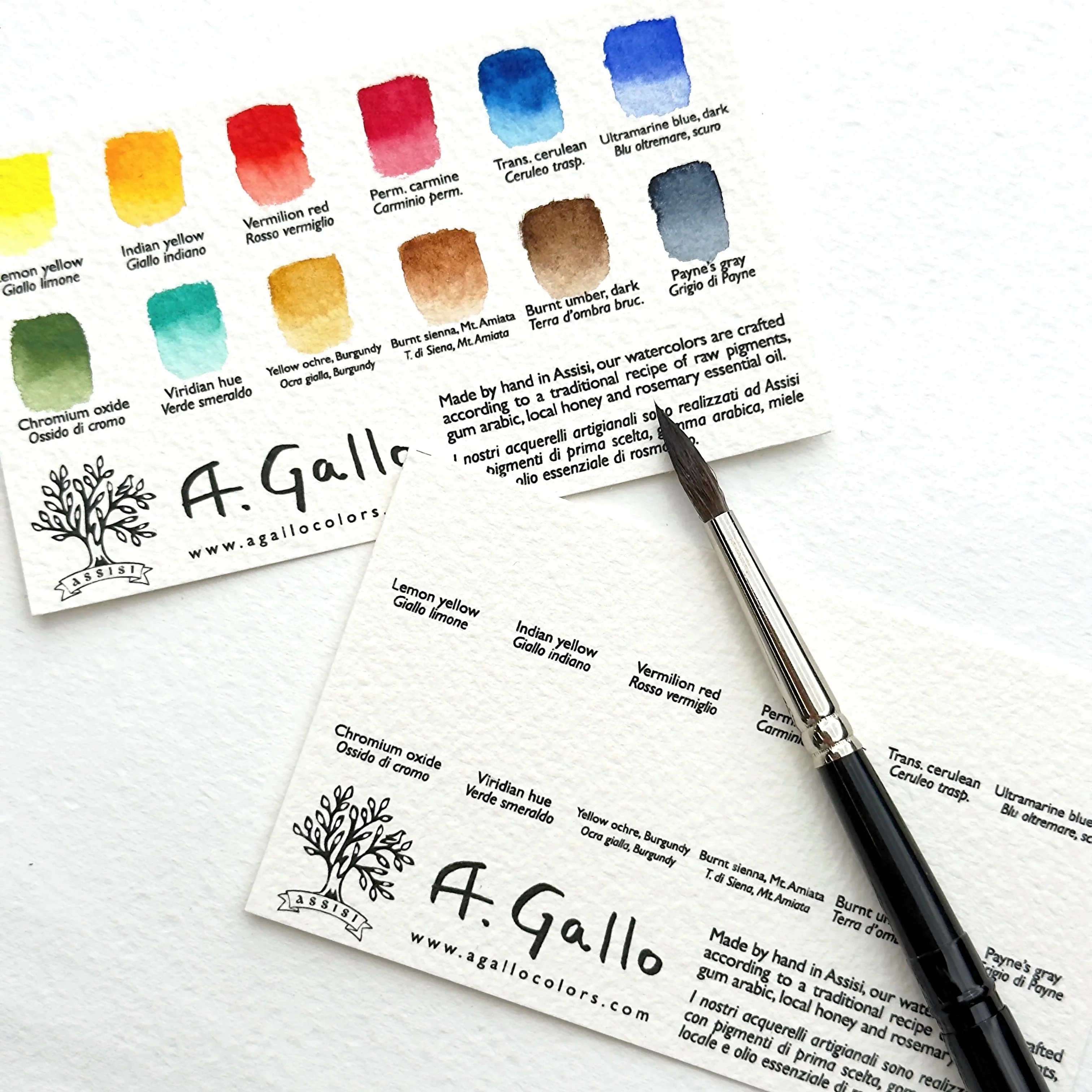 Classic 12 - Handmade Watercolor Set - Image 3