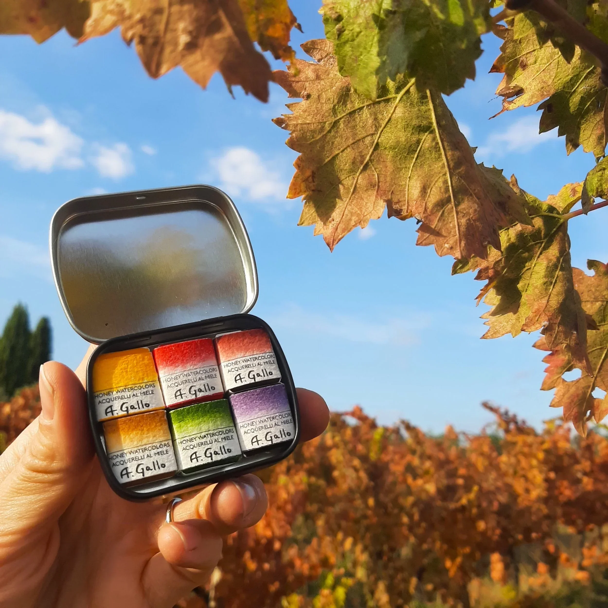 Vendemmia - Handmade Watercolor Kit - Image 3