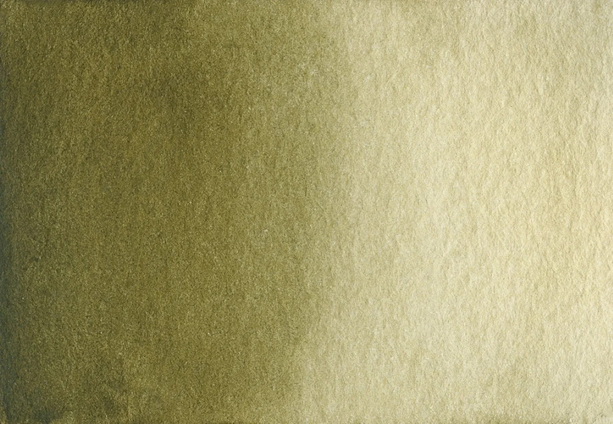 Verdaccio - Half pan - Image 2