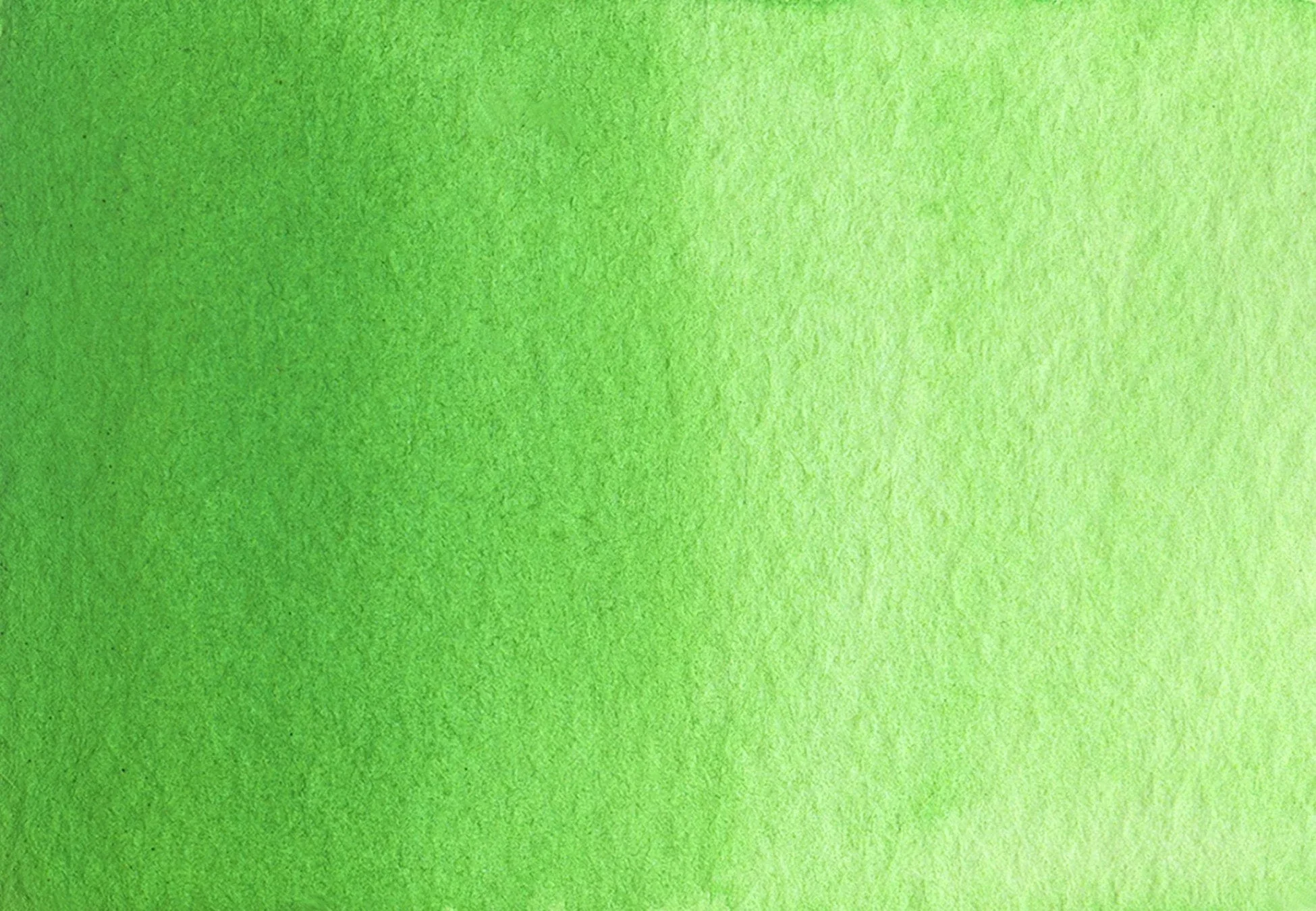 Spring Green - Half pan - Image 2
